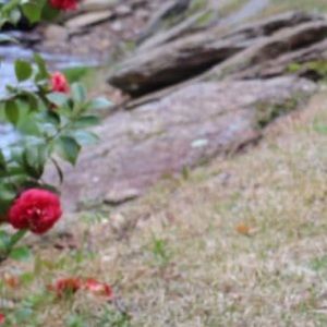 Meet your Posher, Marisol